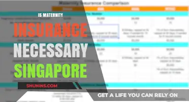 Is Maternity Insurance in Singapore a Must-Have for Expecting Parents?