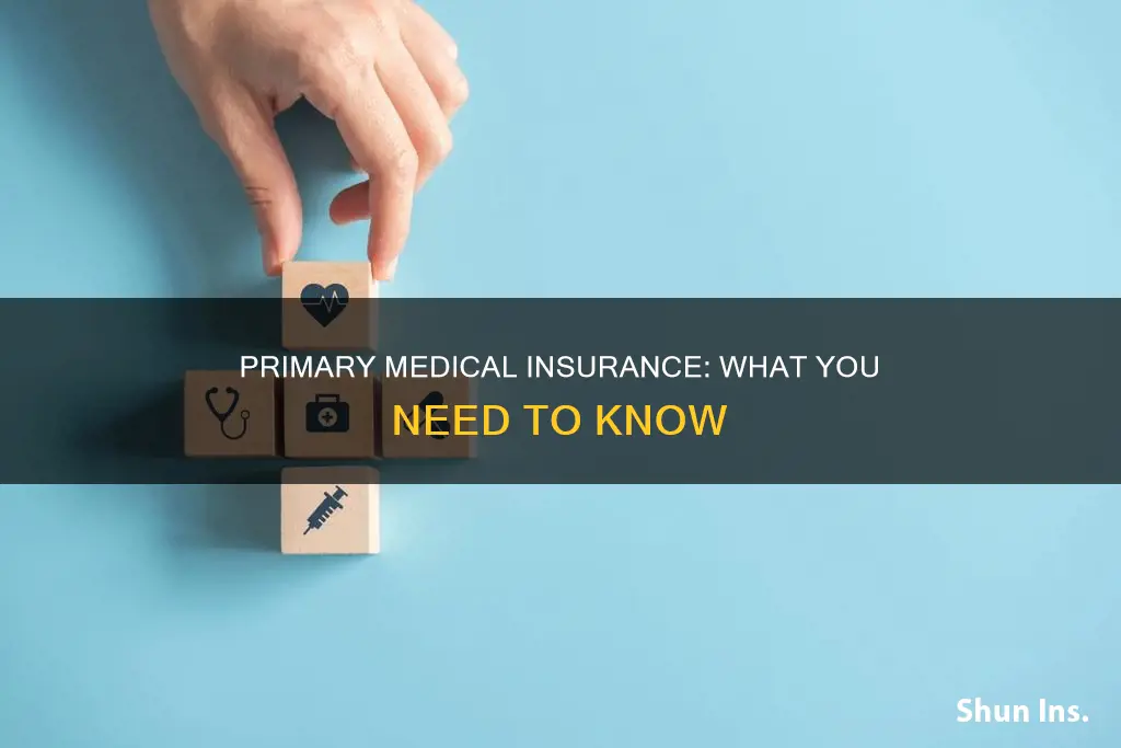 is medical primary insurance