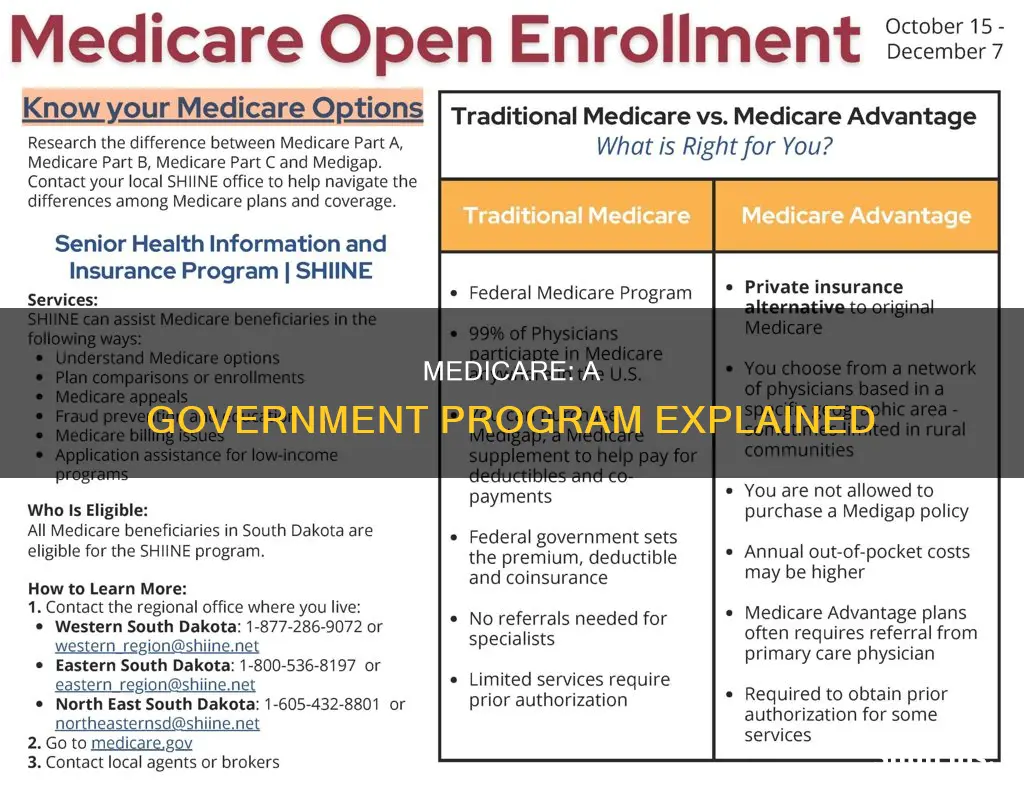 is medicare a government program