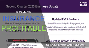 Medicare Insurance: A Profitable Business?