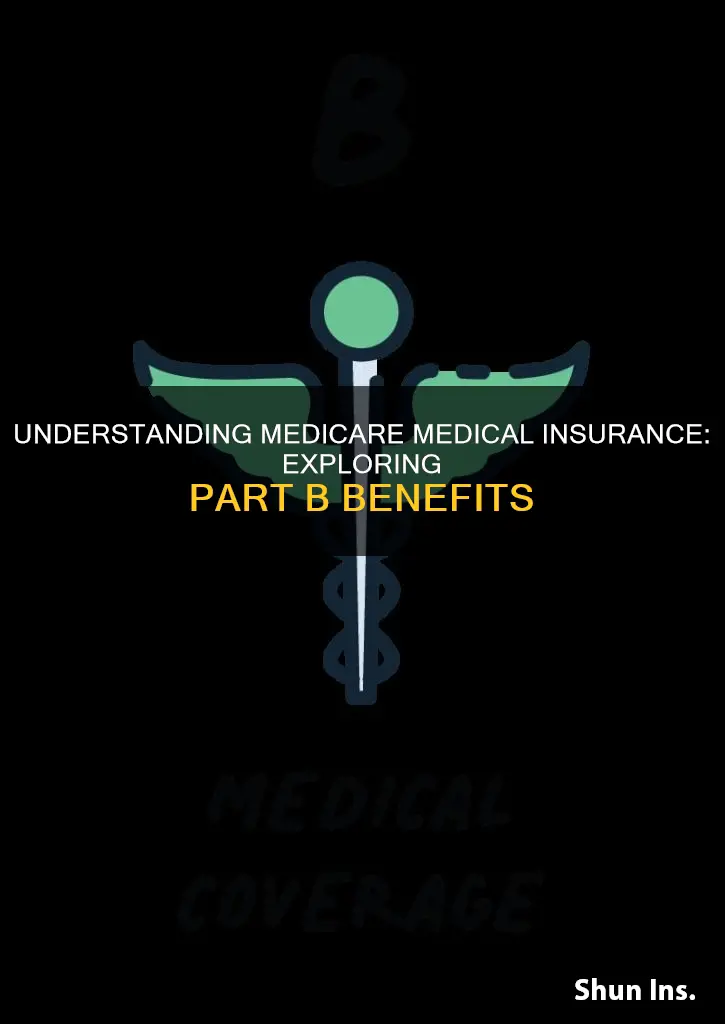 is medicare medical insurance part b