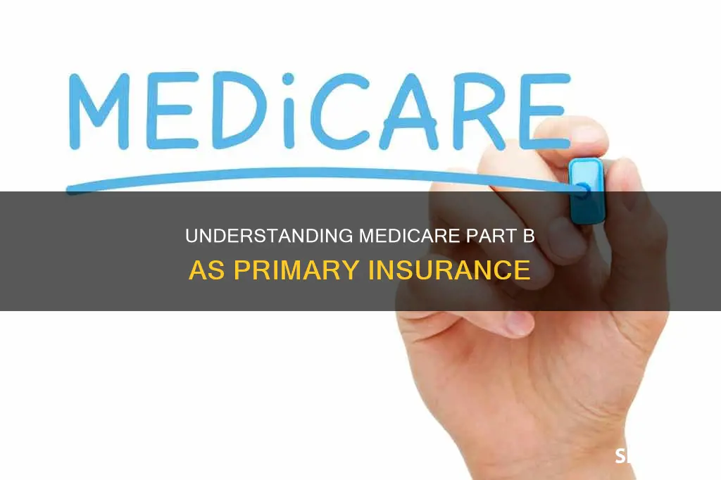 is medicare part b primary insurance