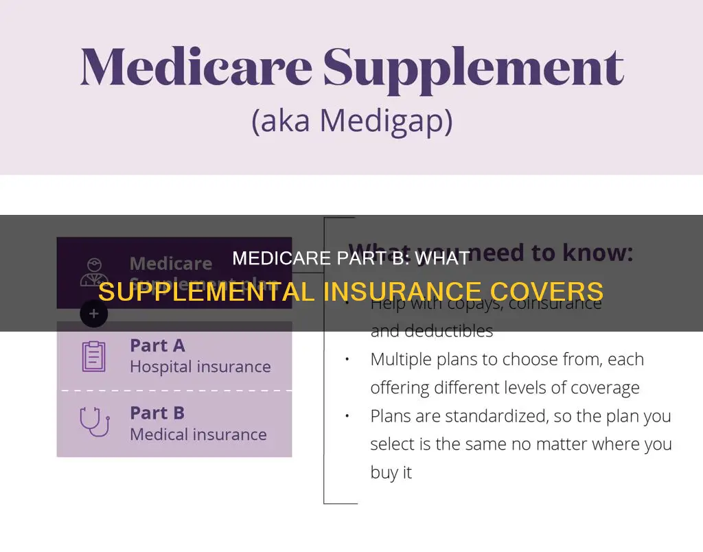 is medicare part b supplemental insurance