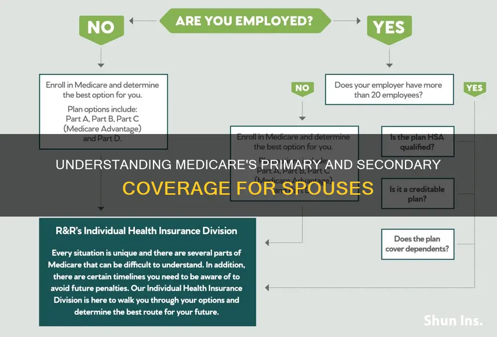 is medicare primary or secondary to spouse