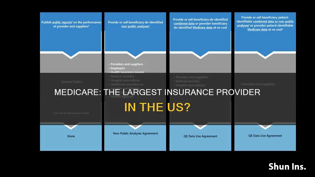 is medicare the largest insurance provider
