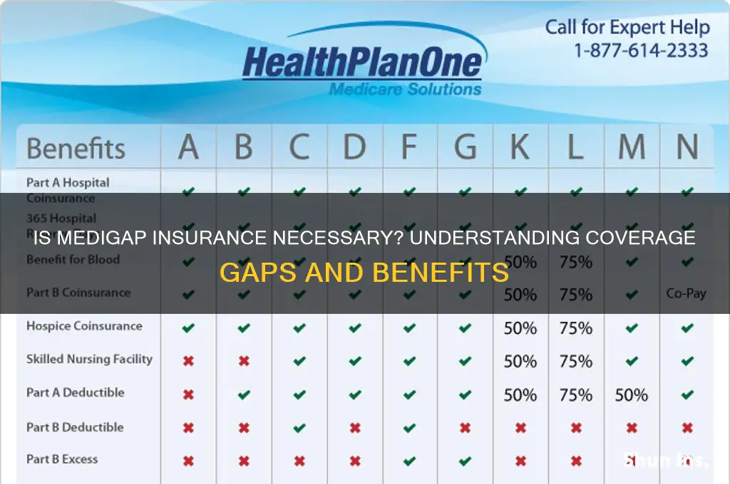 is medigap insurance necessary