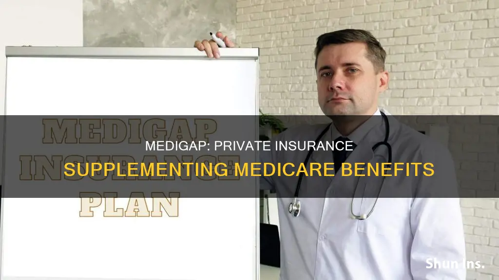 is medigap private insurance