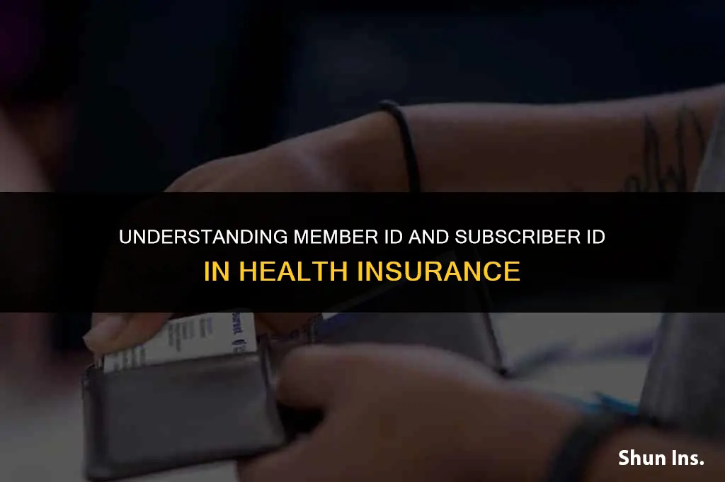 is member id and subscriber id same health insurance