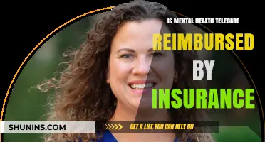 Exploring Insurance Coverage for Mental Health Telecare Services