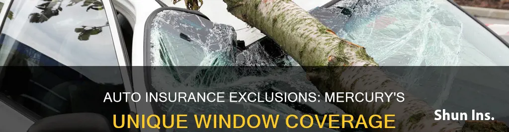 is mercury the only auto insurance to not cover windows