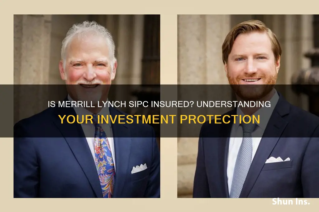 is merrill lynch sipc insured