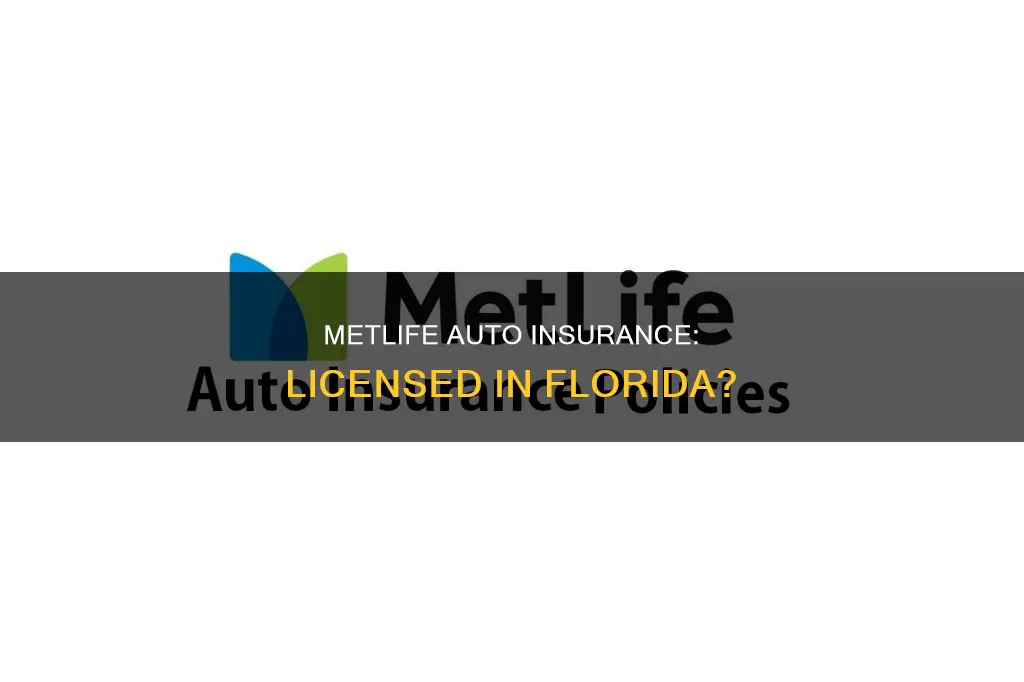 is met life auto insurance licensed in Florida