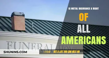 Is Metal Insurance a Fundamental Right for All Americans?