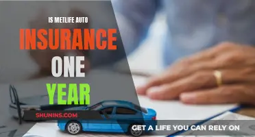 MetLife Auto Insurance: One-Year Policy Explained