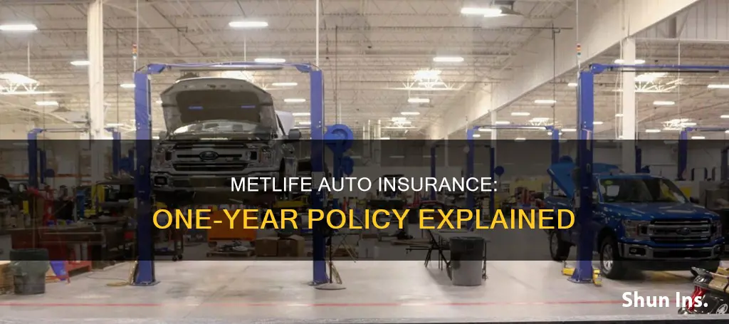 is metlife auto insurance one year