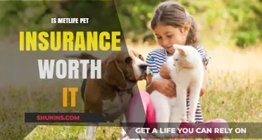 MetLife Pet Insurance: Is It Worth the Cost?