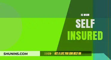 Is MGM Self-Insured? Unraveling the Company's Insurance Strategy