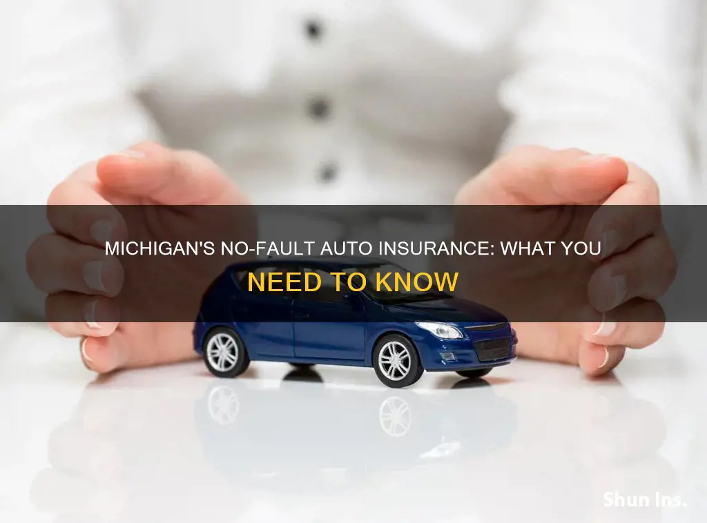 is michigan a no fault auto insurance state