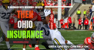 Michigan vs Ohio: Who Offers Cheaper Auto Insurance?