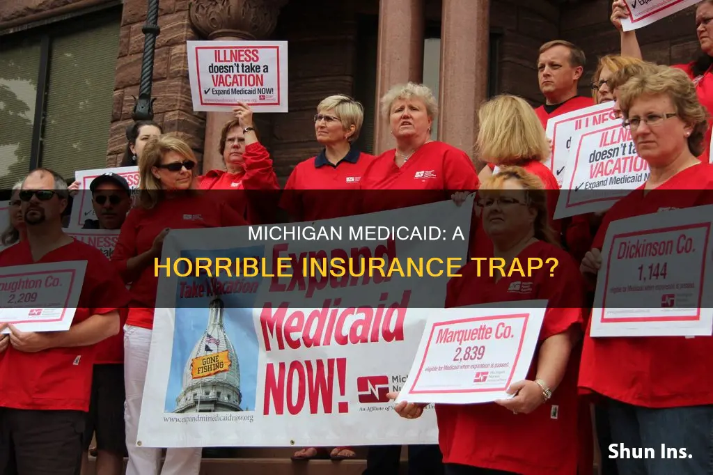 is michigan medicaid a horrible insurance