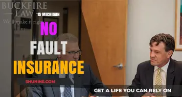 Understanding Michigan's No-Fault Insurance: Benefits, Costs, and Requirements