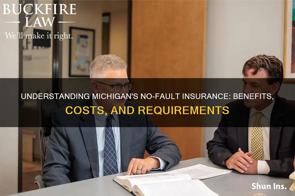 is michigan no fault insurance