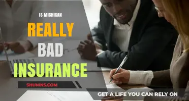 Is Michigan's Insurance Really That Bad? A Comprehensive Analysis