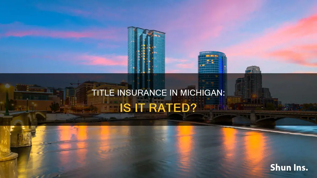 is michigan title insurance rated
