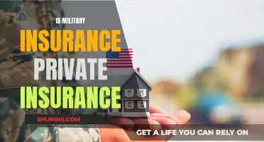 Military Insurance: Private or Public?