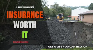 Mine Subsidence Insurance: Worth the Cost?