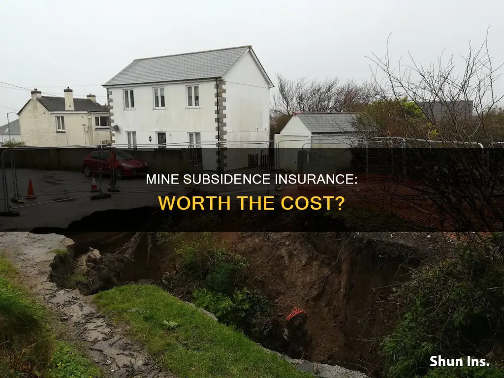 is mine subsidence insurance worth it
