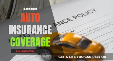 Auto Insurance: Minimum Coverage, Maximum Risks?