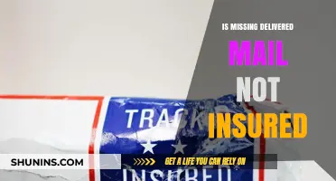 Is Your Missing Delivered Mail Insured? What You Need to Know