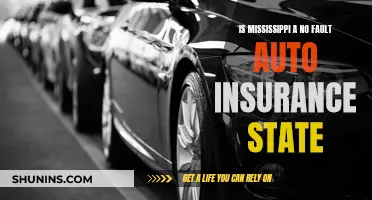 Mississippi Auto Insurance: Understanding No-Fault Laws