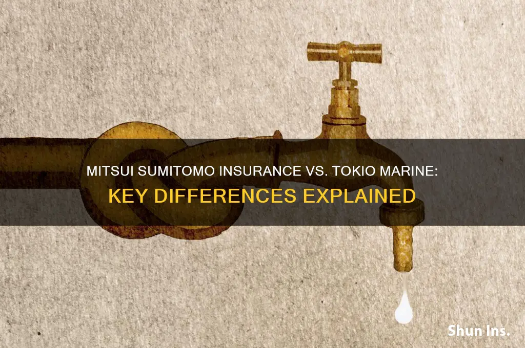 is mitsui sumitomo insurance takio marine