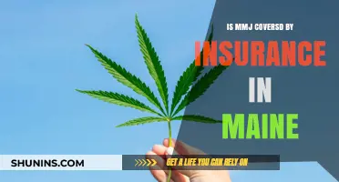 Does Maine Insurance Cover Medical Marijuana? What Patients Need to Know