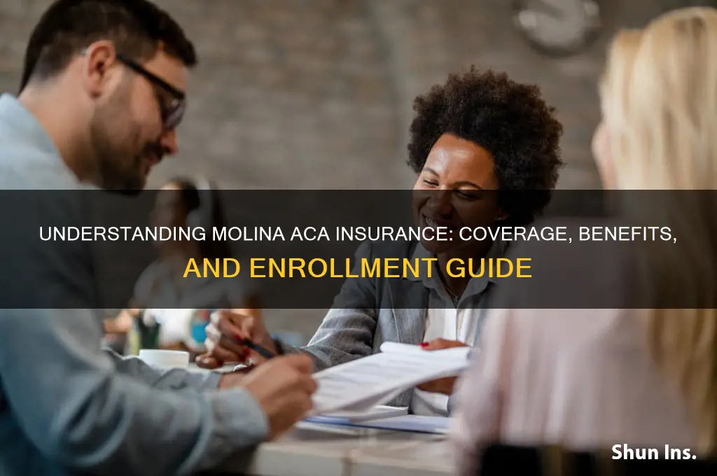 is molina aca insurance