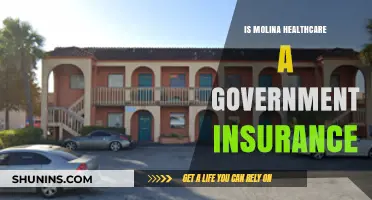 Is Molina Healthcare Government-Run? Unraveling the Insurance Provider's Status