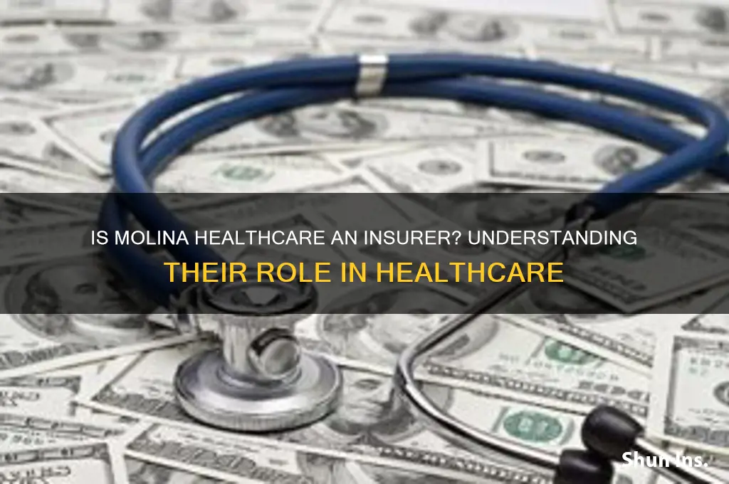 is molina healthcare a insurer