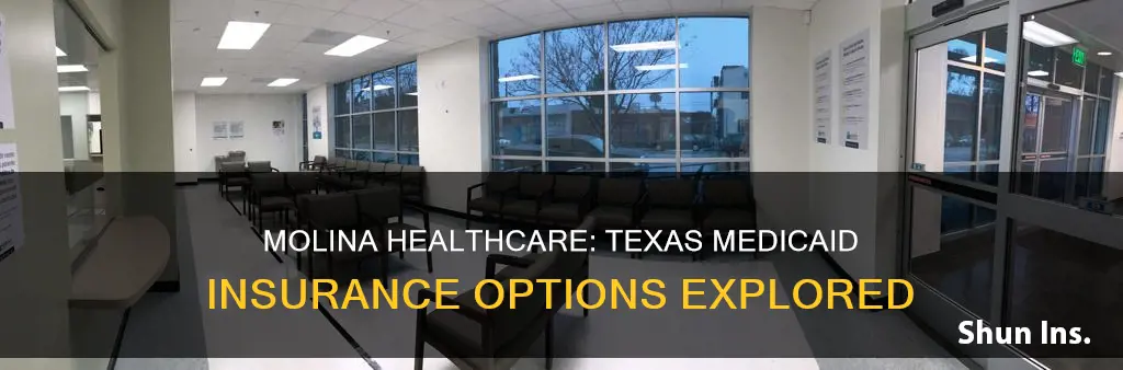 is molina healthcare in Texas insurance medicaid