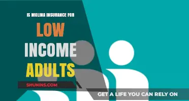 Molina Insurance: Affordable Coverage for Low-Income Adults Explained