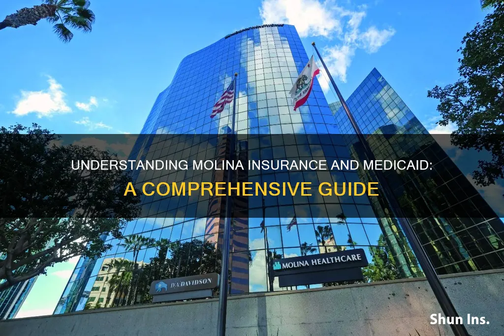 is molina insurance medicaid