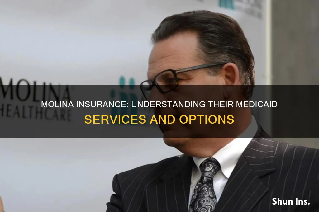 is molina insurance medicaid