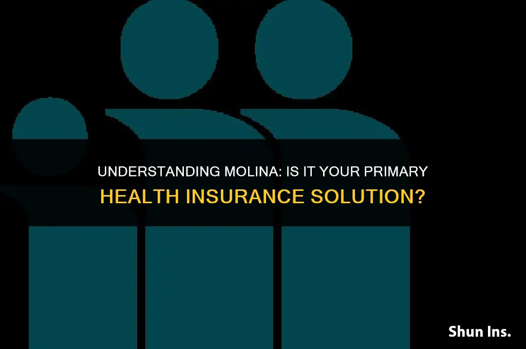 is molina primary health insurance