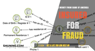 Bank of America: Are Your Funds Safe from Fraud?