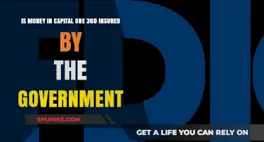 Capital One 360 Accounts: Are They Government-Insured?