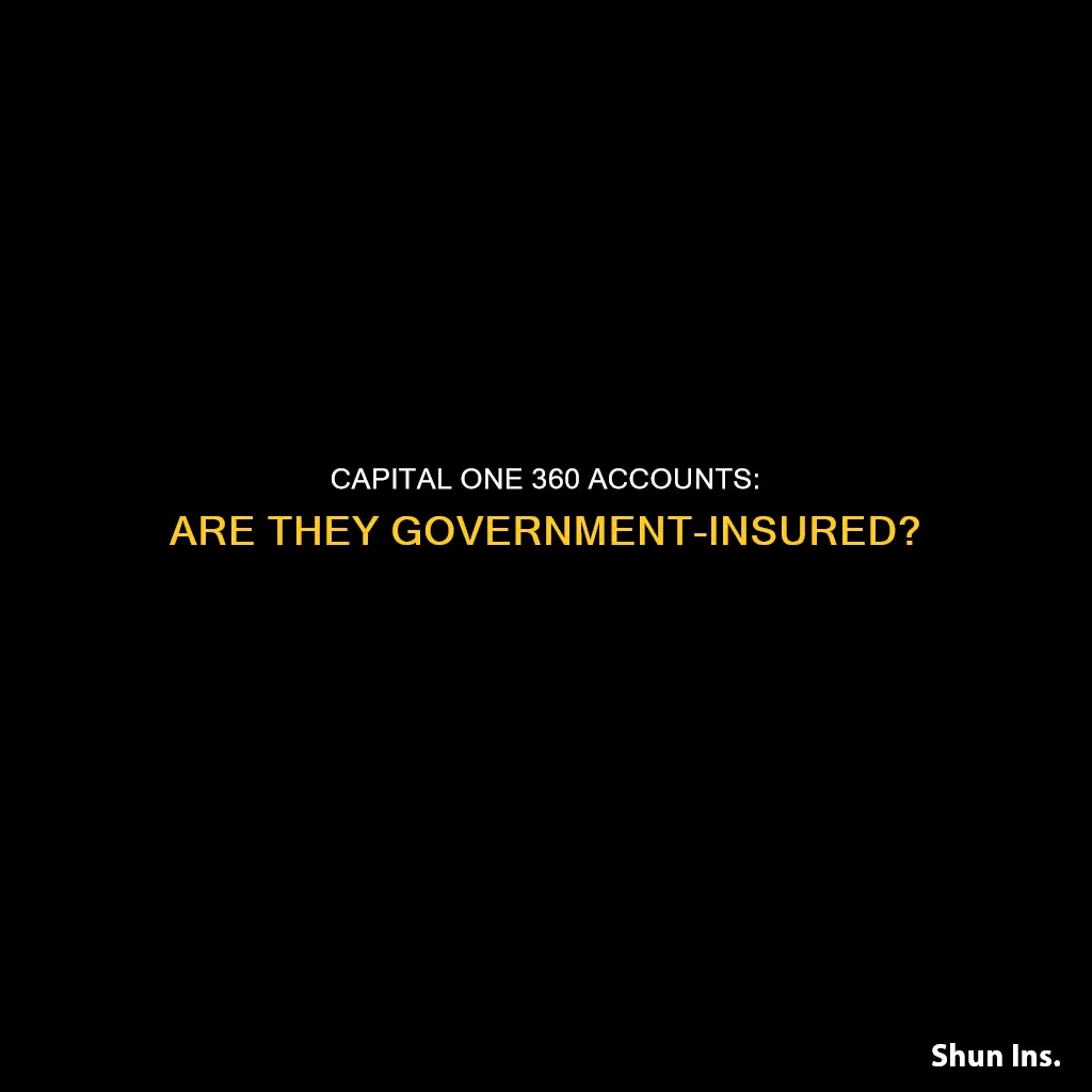 is money in capital one 360 insured by the government