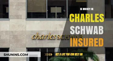 Schwab Money: Insured and Secure