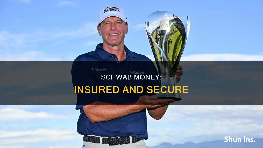 is money in charles schwab insured