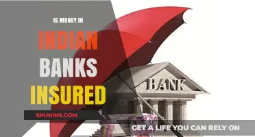 Indian Bank Accounts: Are Your Savings Insured?